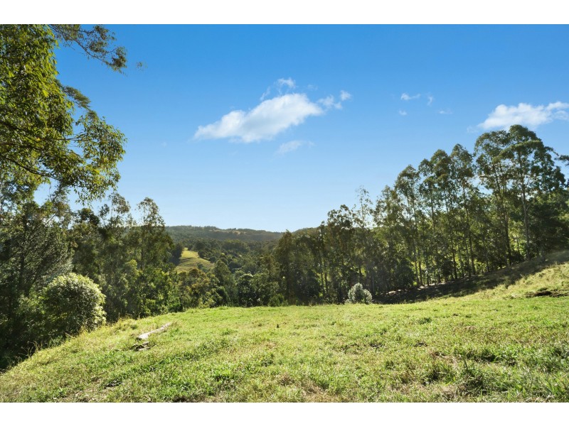 624 Tuntable Creek Road, Tuntable Creek NSW 2480