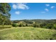 624 Tuntable Creek Road, Tuntable Creek NSW 2480