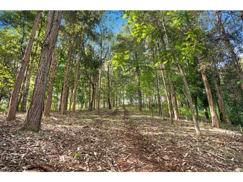 624 Tuntable Creek Road, Tuntable Creek NSW 2480