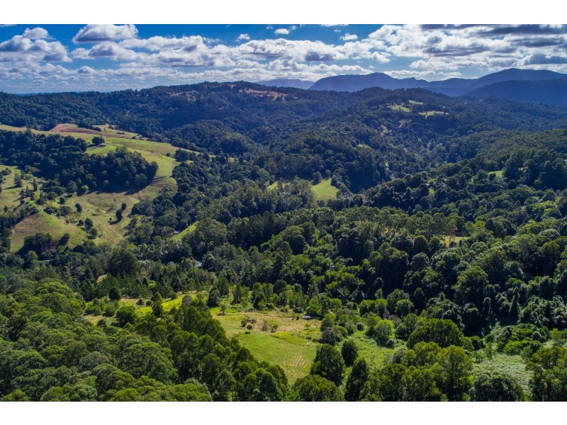 624 Tuntable Creek Road, Tuntable Creek NSW 2480