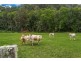 534 Main Arm Road, Main Arm NSW 2482