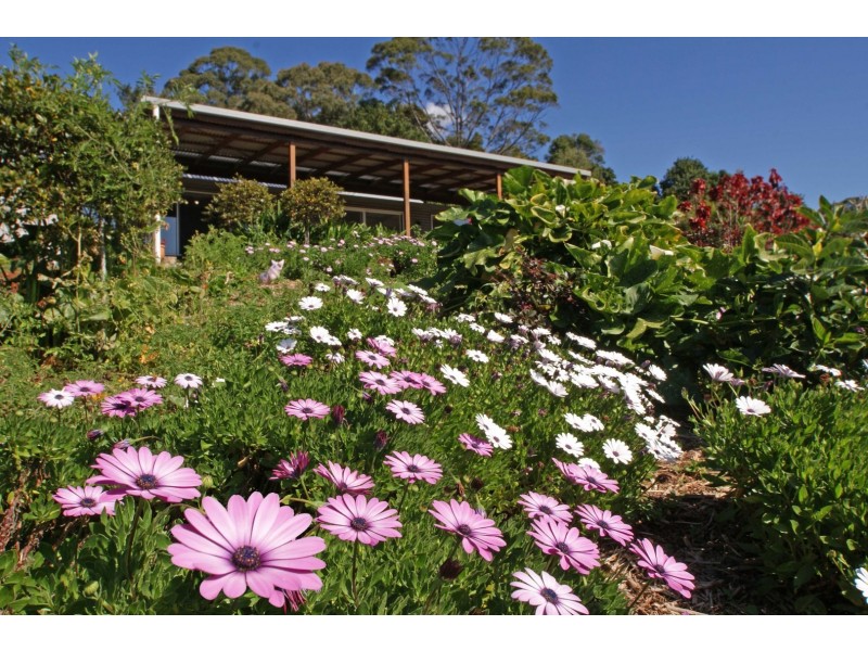 76 James Gibson Road, Clunes NSW 2480