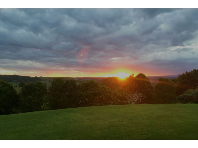 451 Coopers Shoot Road, Coopers Shoot NSW 2479