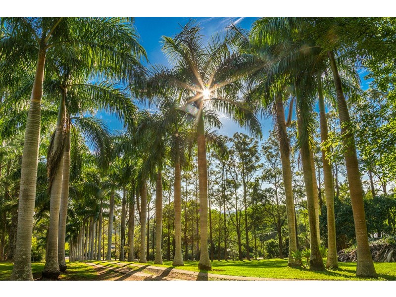 1 Taylors Road, Eureka NSW 2480