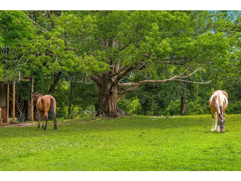 79 Tallowood Road, Possum Creek NSW 2479