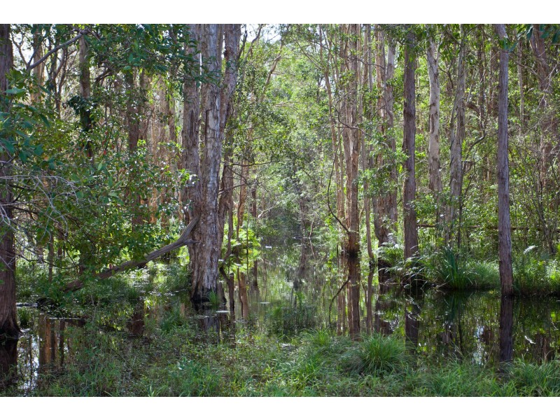 212 The Manse Road, Myocum NSW 2481