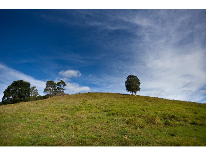 212 The Manse Road, Myocum NSW 2481