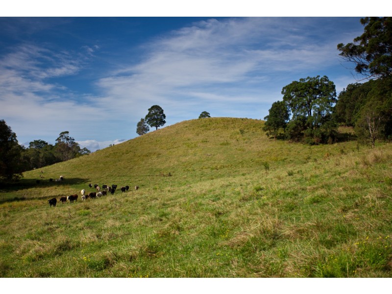 212 The Manse Road, Myocum NSW 2481