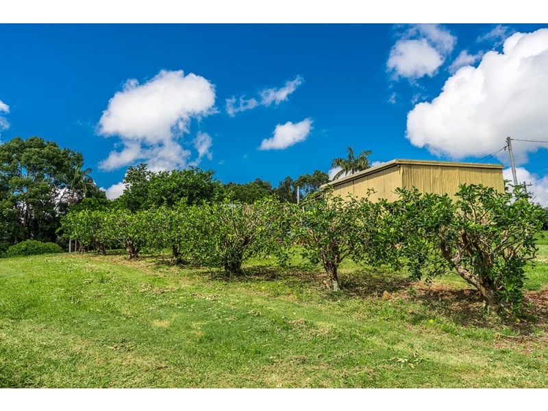 115 Stewarts Road, Clunes NSW 2480