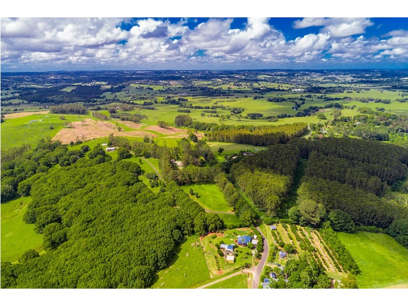 115 Stewarts Road, Clunes NSW 2480