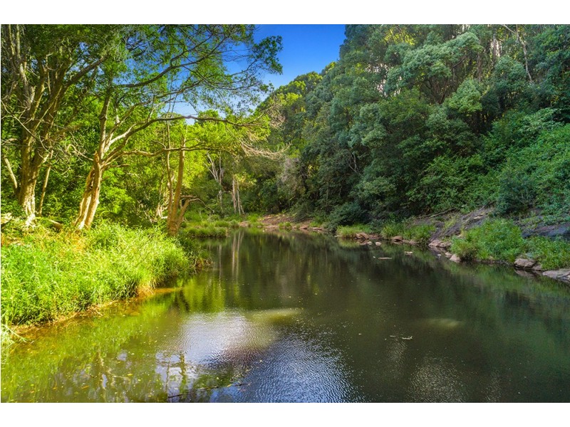 141 Newes Road, Coorabell NSW 2479