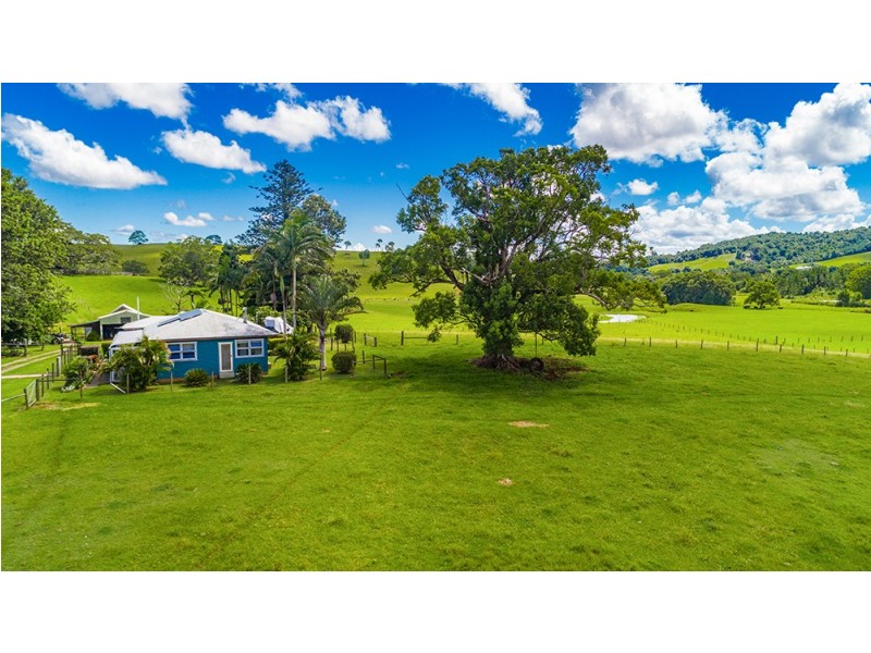 990 Friday Hut Road, Binna Burra NSW 2479