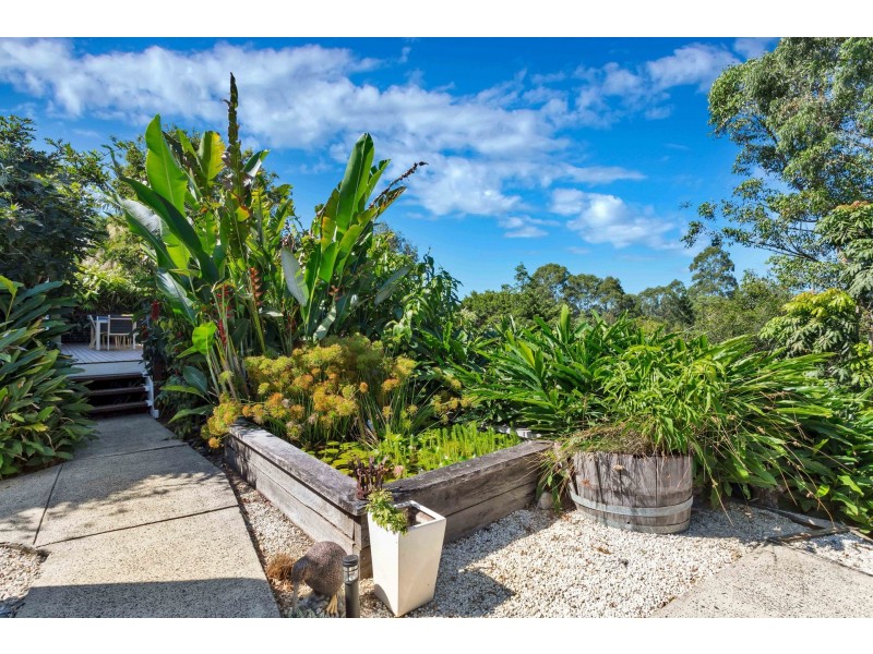 29 Azalea Street, Mullumbimby NSW 2482