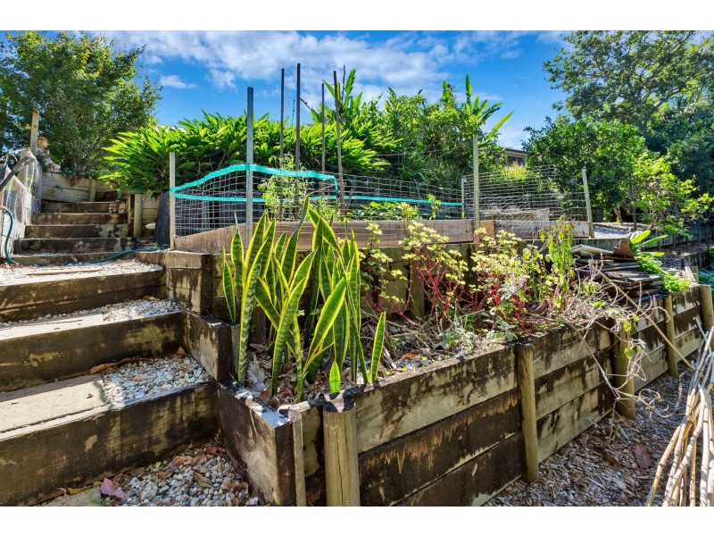 29 Azalea Street, Mullumbimby NSW 2482