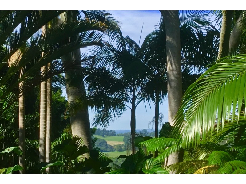 41 Tallowood Road, Possum Creek NSW 2479