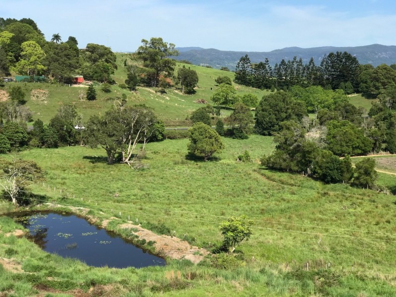 110a Mullumbimby Road, Mullumbimby NSW 2482