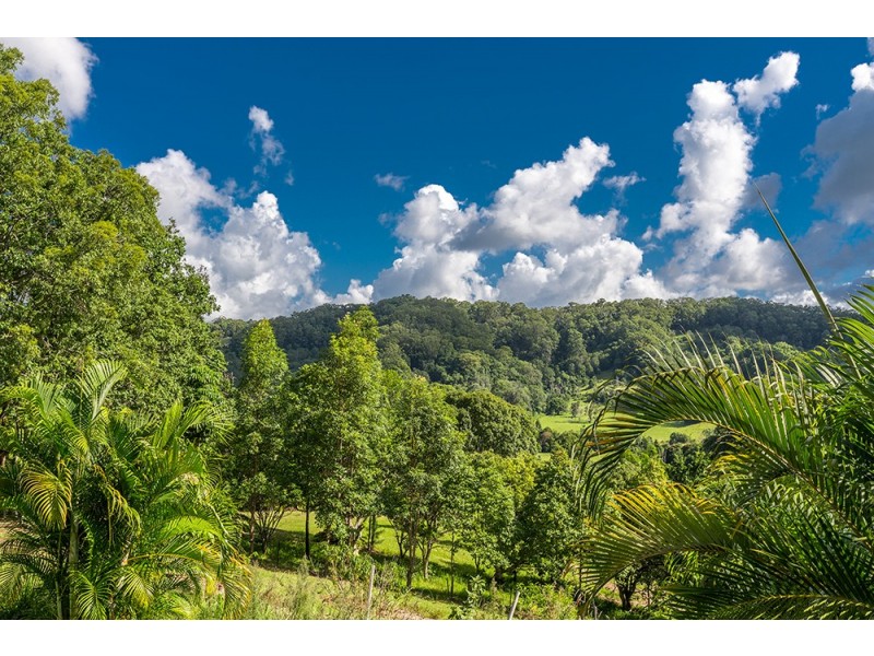 1 Jones Lane, Middle Pocket NSW 2483