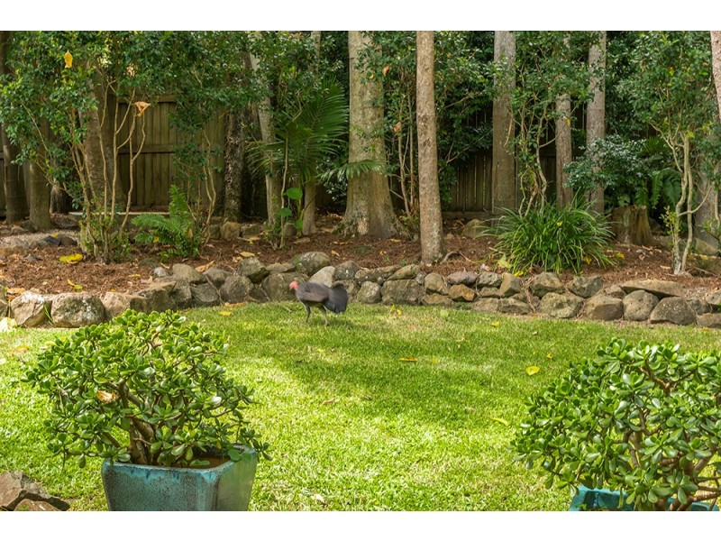 115 Bangalow Road, Byron Bay NSW 2481