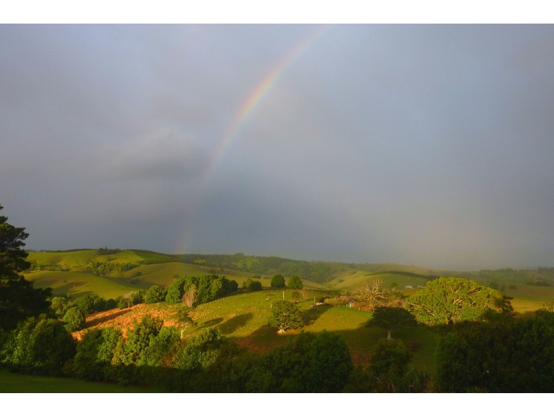 Lot 5, 451 Coopers Shoot Road, Coopers Shoot NSW 2479