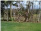 32 Bilin Road, Myocum NSW 2481