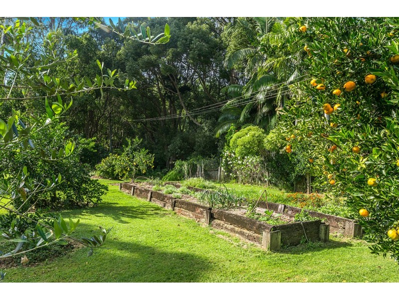 15 Plantation Drive, Ewingsdale NSW 2481