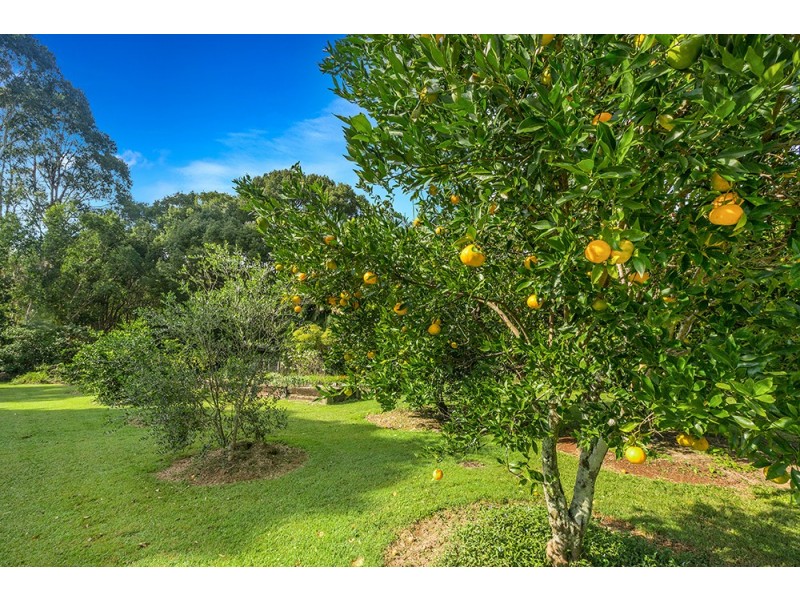 15 Plantation Drive, Ewingsdale NSW 2481