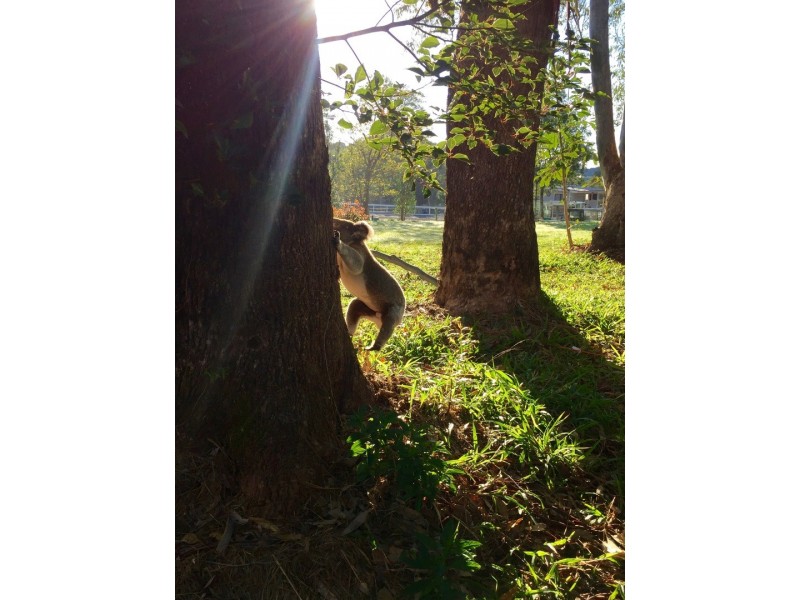 2/21 Bay Vista Lane, Ewingsdale NSW 2481