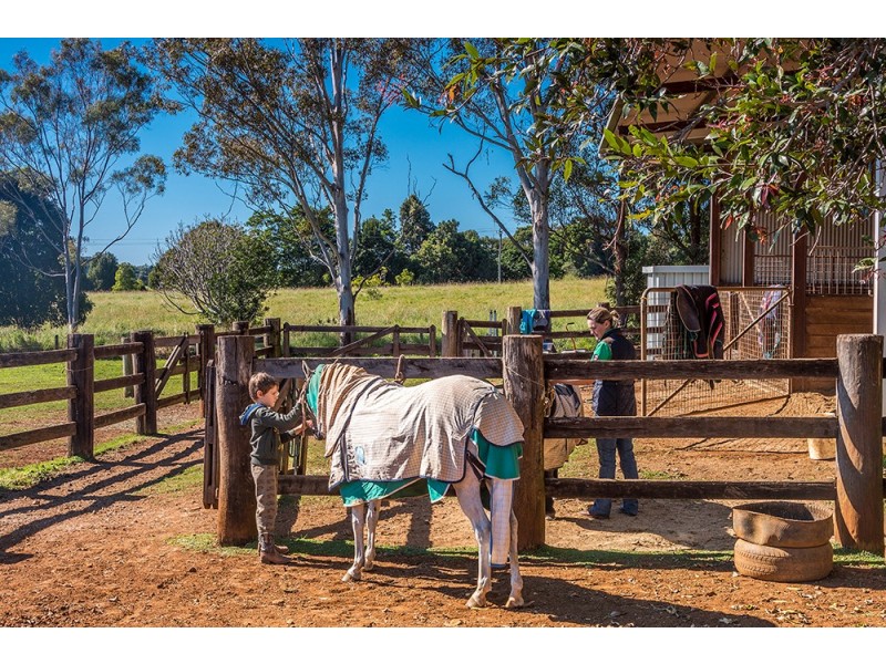 50 Myocum Downs Drive, Myocum NSW 2481