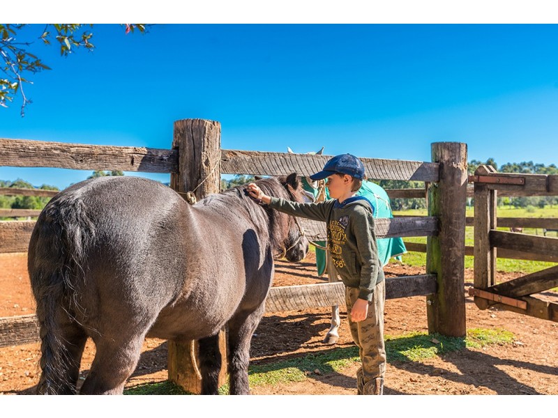 50 Myocum Downs Drive, Myocum NSW 2481