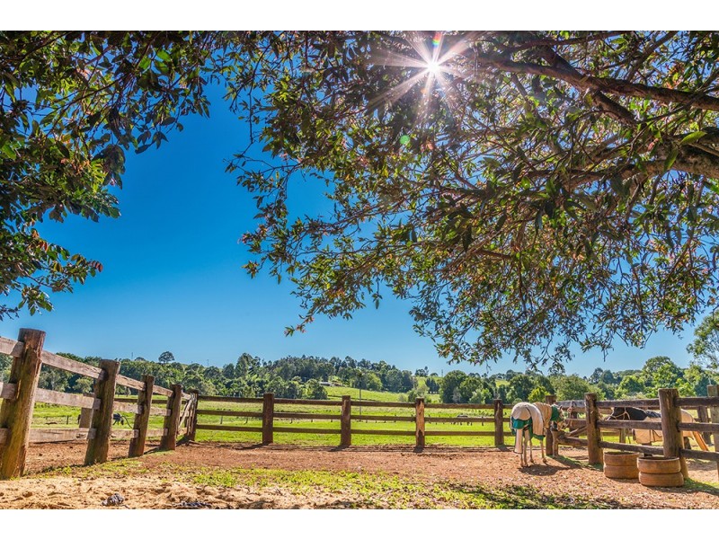 50 Myocum Downs Drive, Myocum NSW 2481