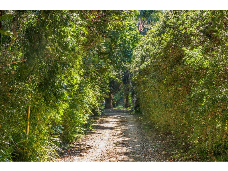 50 Myocum Downs Drive, Myocum NSW 2481