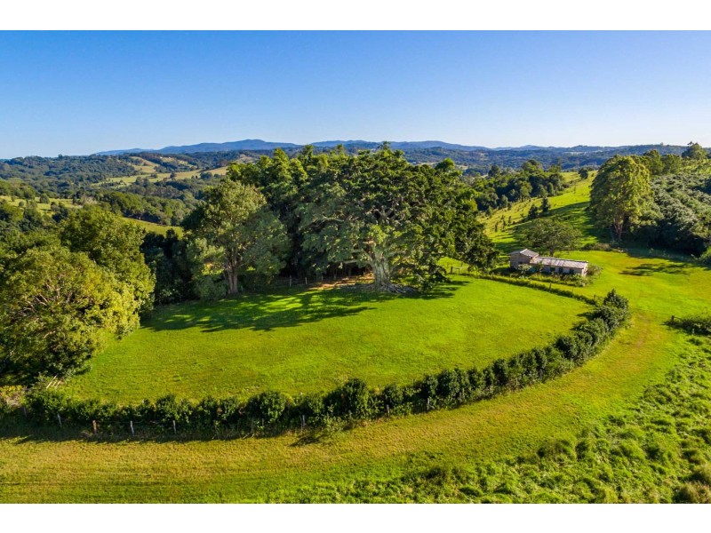 100 Binna Burra Road, Binna Burra NSW 2479