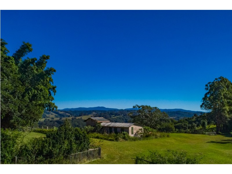 100 Binna Burra Road, Binna Burra NSW 2479