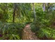 100 Binna Burra Road, Binna Burra NSW 2479