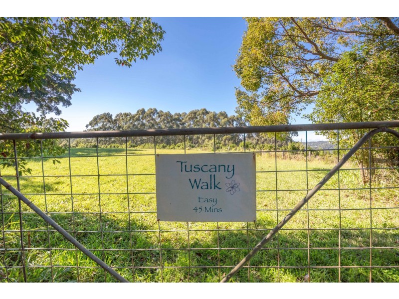 100 Binna Burra Road, Binna Burra NSW 2479