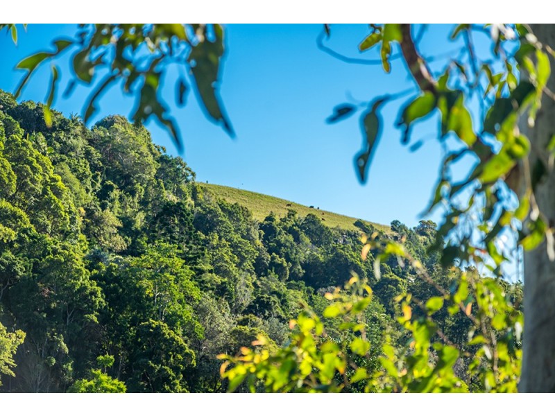 Lot 20/31 Hayters Drive, Suffolk Park NSW 2481