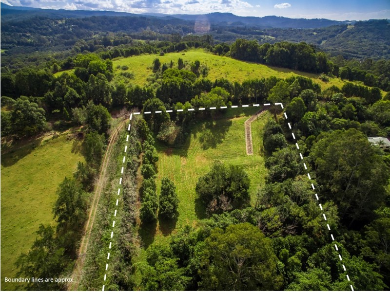 17 Byrne Road, Rosebank NSW 2480