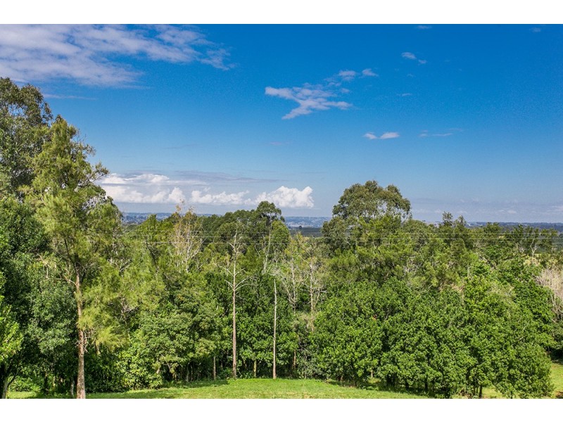 17 Byrne Road, Rosebank NSW 2480