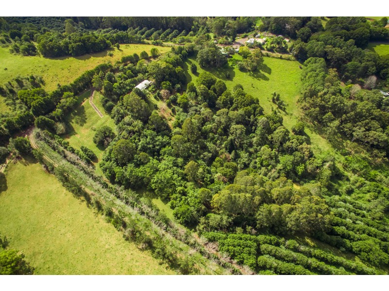 17 Byrne Road, Rosebank NSW 2480