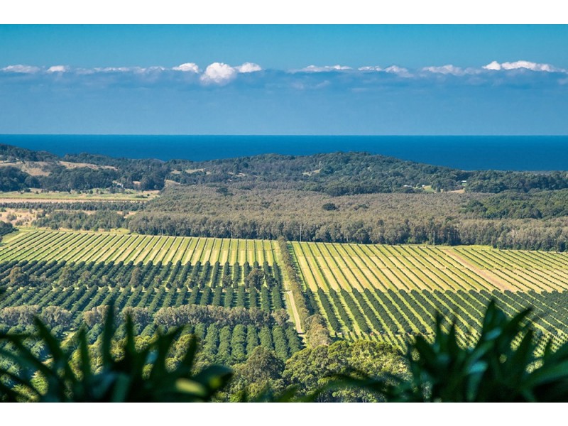 172 Old Byron Bay Road, Newrybar NSW 2479