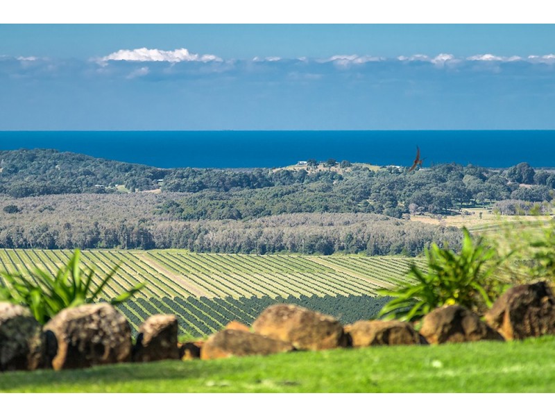 172 Old Byron Bay Road, Newrybar NSW 2479