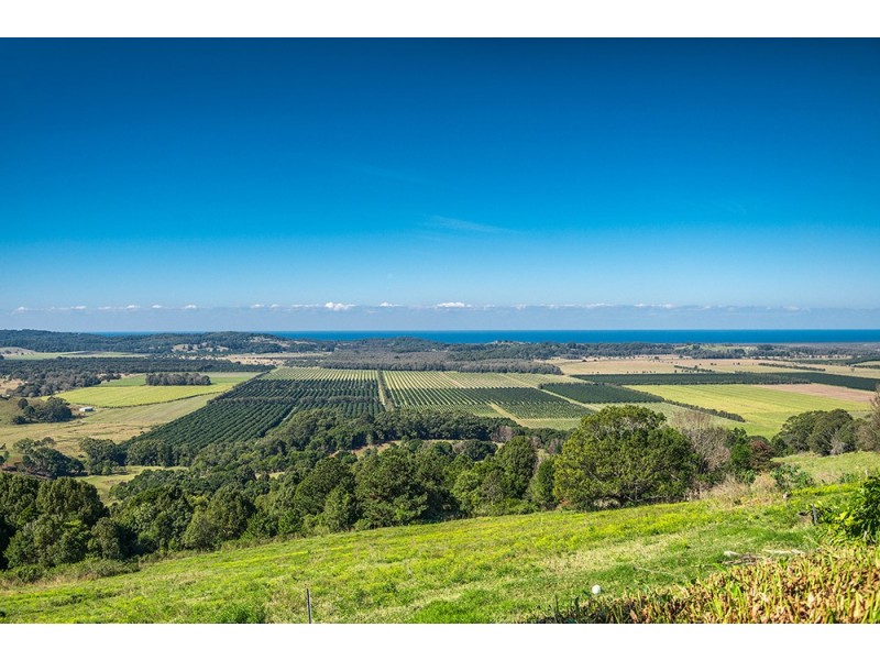 172 Old Byron Bay Road, Newrybar NSW 2479