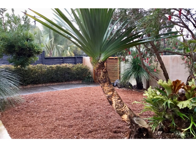 34 Marvell Street, Byron Bay NSW 2481