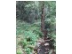 88-98 Hinterland Way, Knockrow NSW 2479