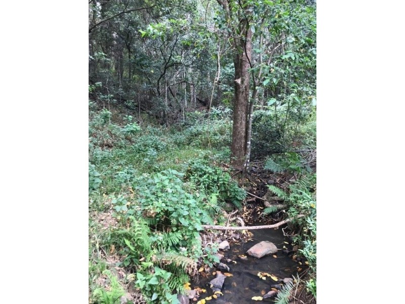 88-98 Hinterland Way, Knockrow NSW 2479