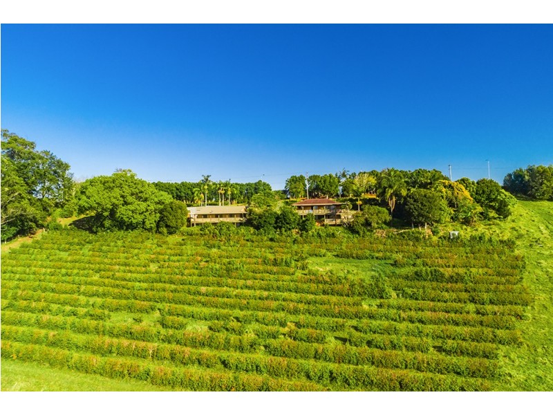 88-98 Hinterland Way, Knockrow NSW 2479