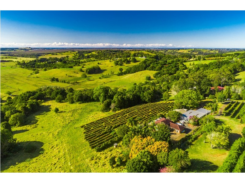 88-98 Hinterland Way, Knockrow NSW 2479