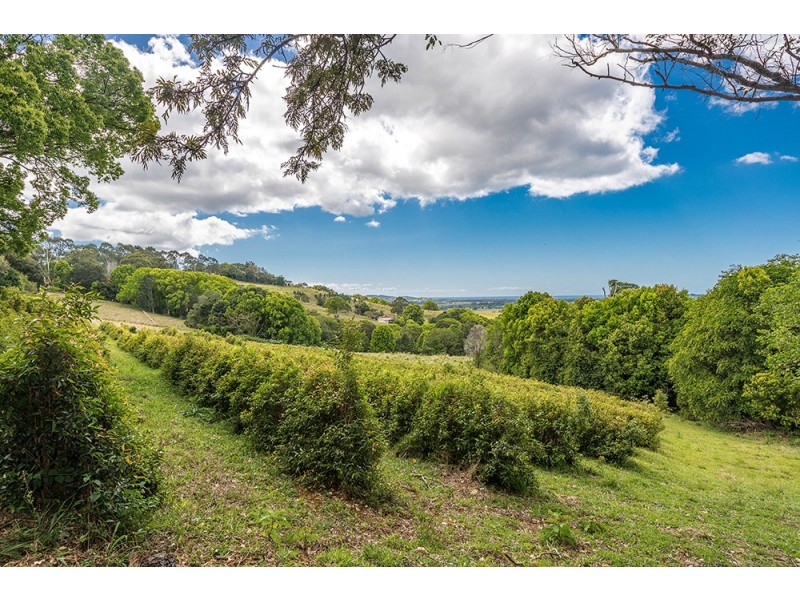 88-98 Hinterland Way, Knockrow NSW 2479