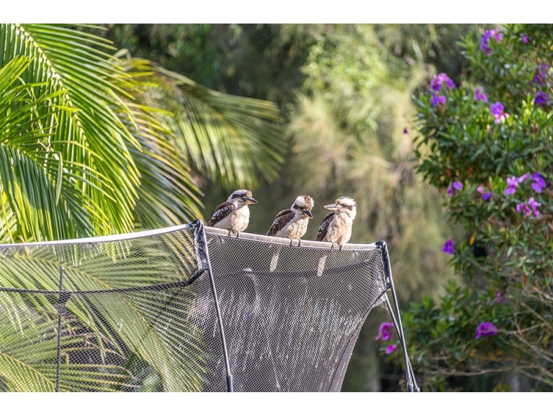 4 Shirley Lane, Byron Bay NSW 2481