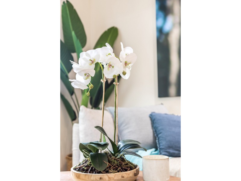 1/1 Cumbebin Park, Byron Bay NSW 2481